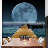 Wall Murals: Moon in the sea 3