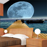 Wall Murals: Moon in the sea 5