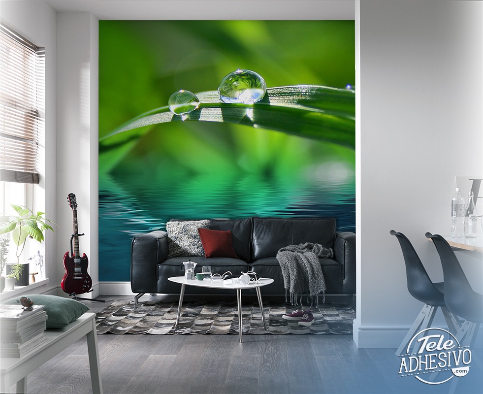 Wall Murals: Dew drops