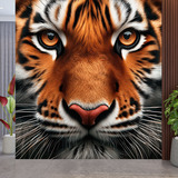Wall Murals: Bengal tiger 3