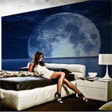 Wall Murals: Moon and Sea 2