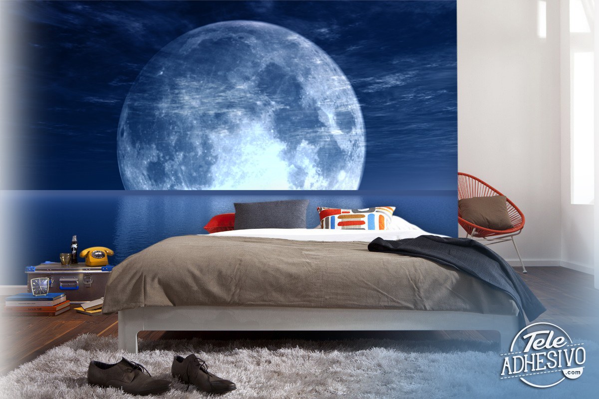 Wall Murals: Moon and Sea