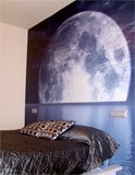 Wall Murals: Moon and Sea 4