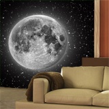 Wall Murals: Moon 2