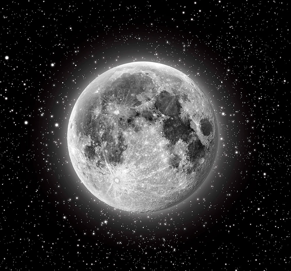 Wall Murals: Moon