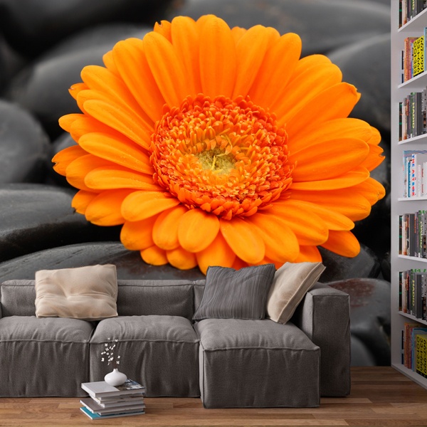 Wall Murals: Orange Gerbera