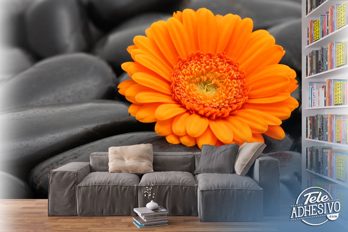 Wall Murals: Orange Gerbera