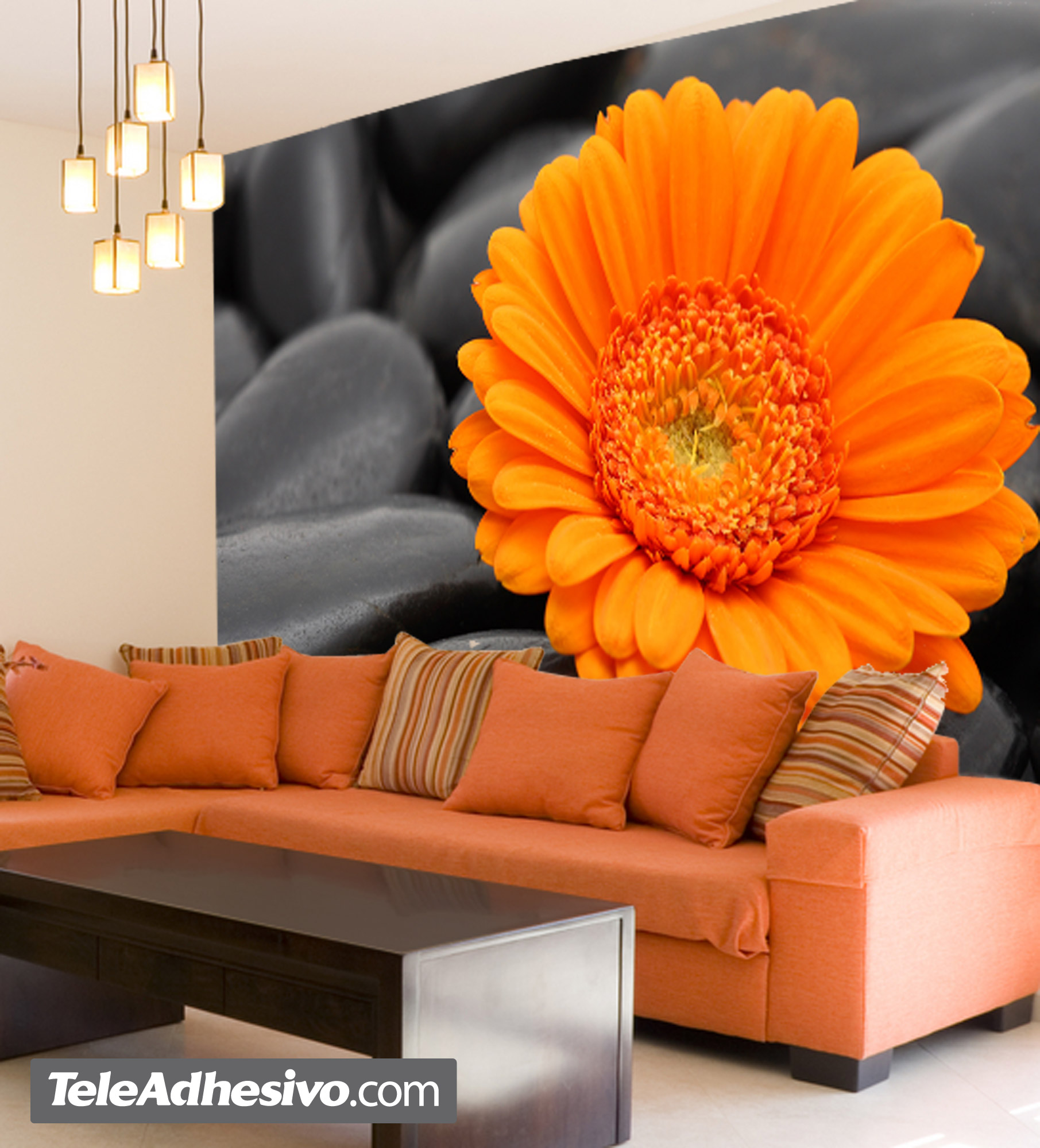 Wall Murals: Orange Gerbera