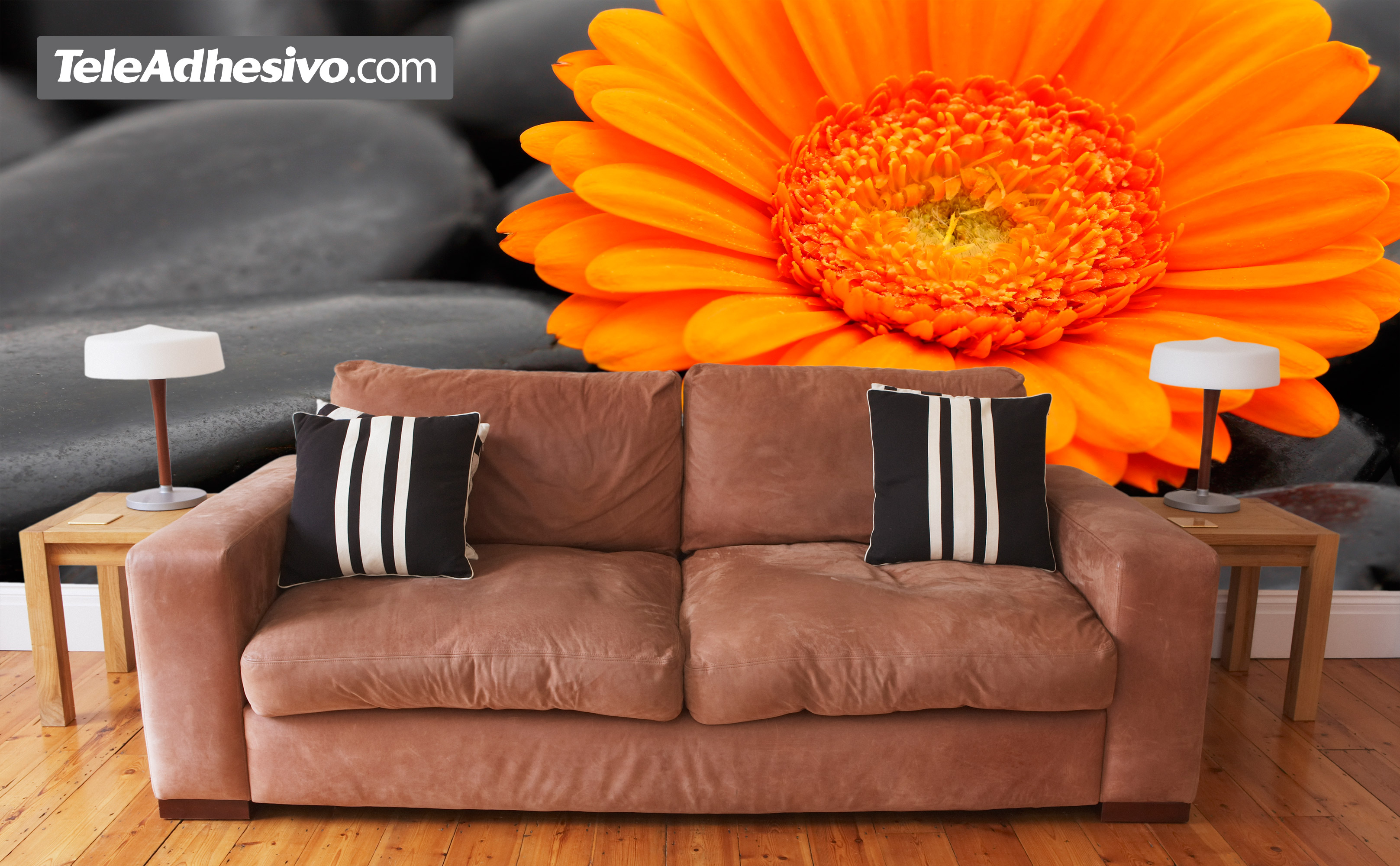 Wall Murals: Orange Gerbera