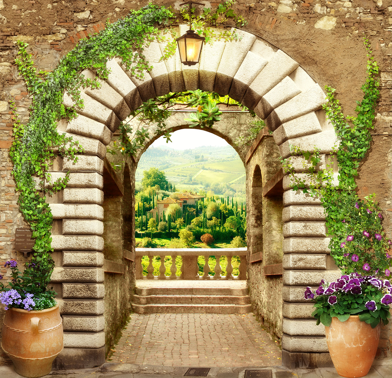 Wall Murals: Great door to the viewpoint
