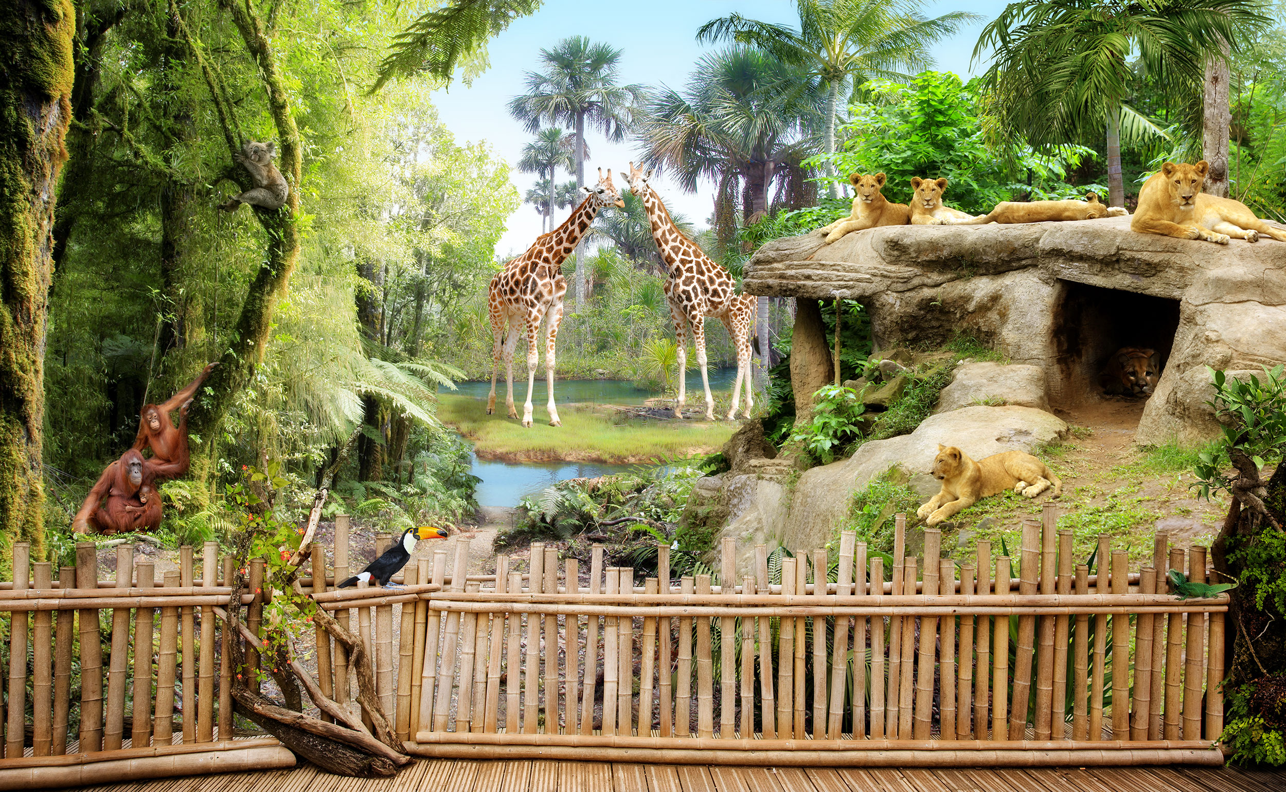 Wall Murals: Jungle animals