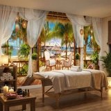 Wall Murals: Caribbean cabin 4