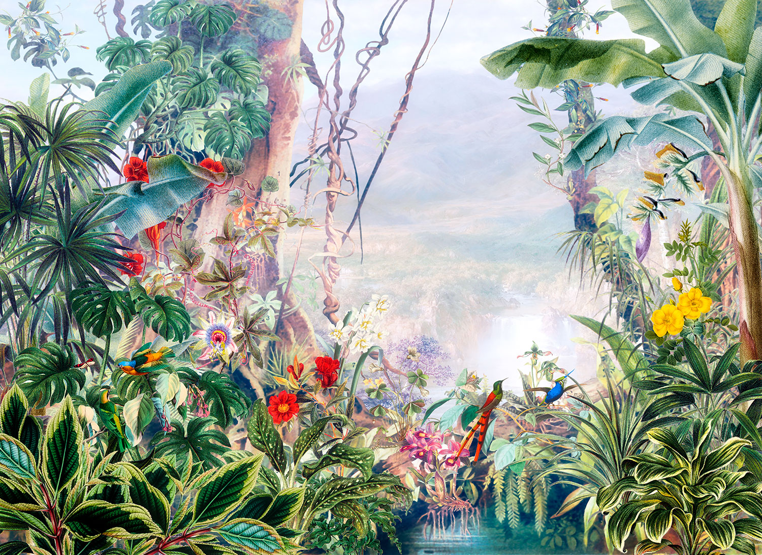 Wall Murals: Tropical rainforest