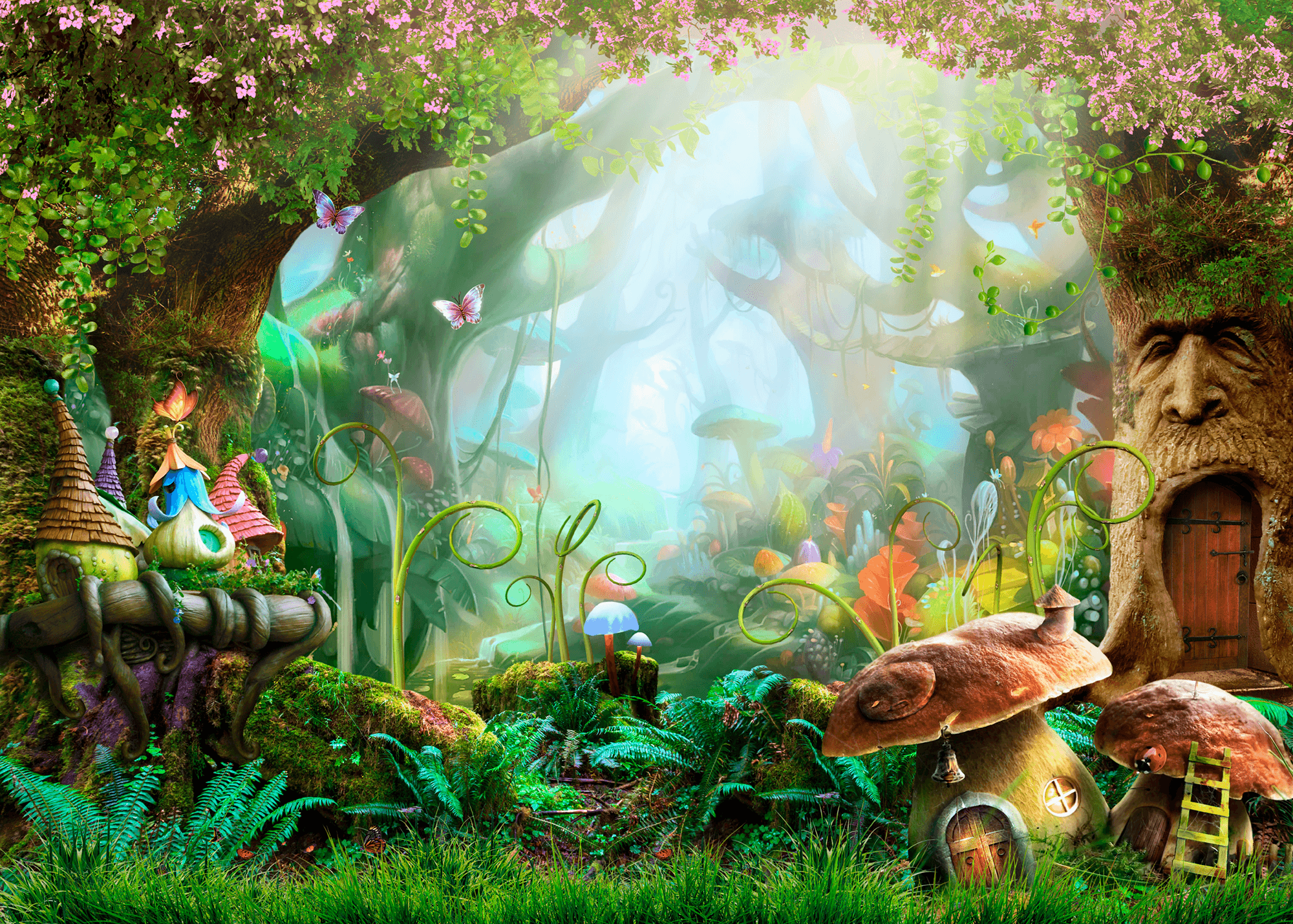 Wall Murals: Forest of fantasy