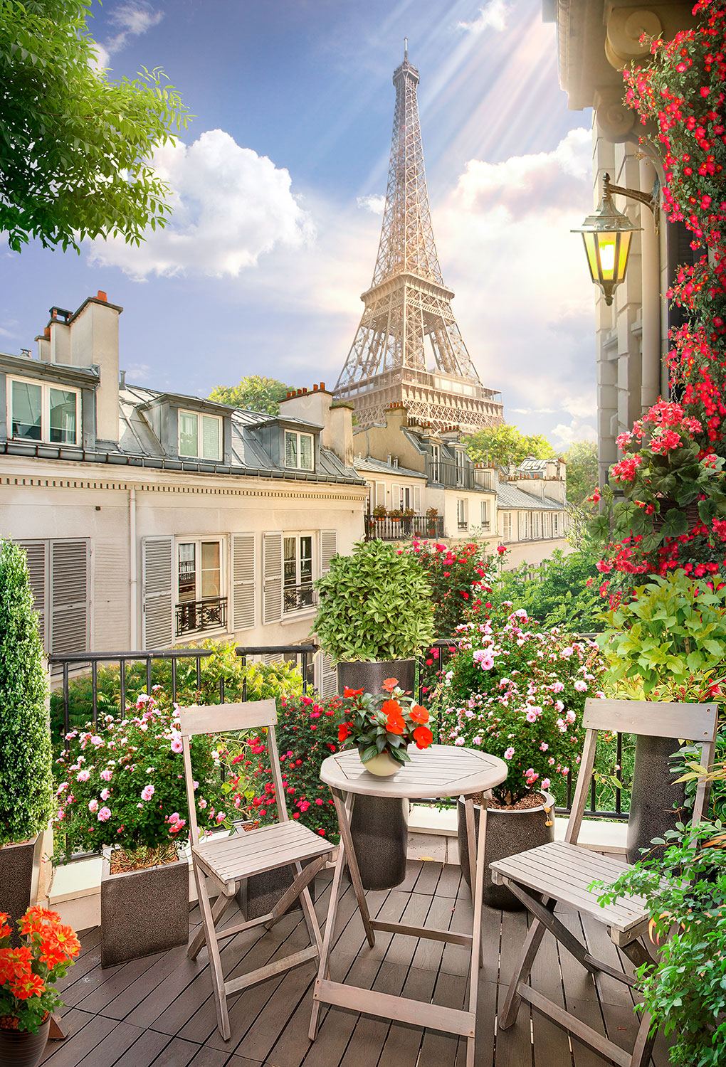 Wall Murals: Terrace in front of the Eiffel tower
