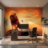 Wall Murals: the Lion King 4
