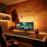 Wall Murals: the Lion King 6