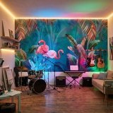 Wall Murals: Flamingos on Turquoise Background 3