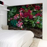 Wall Murals: Pink Parrot 2