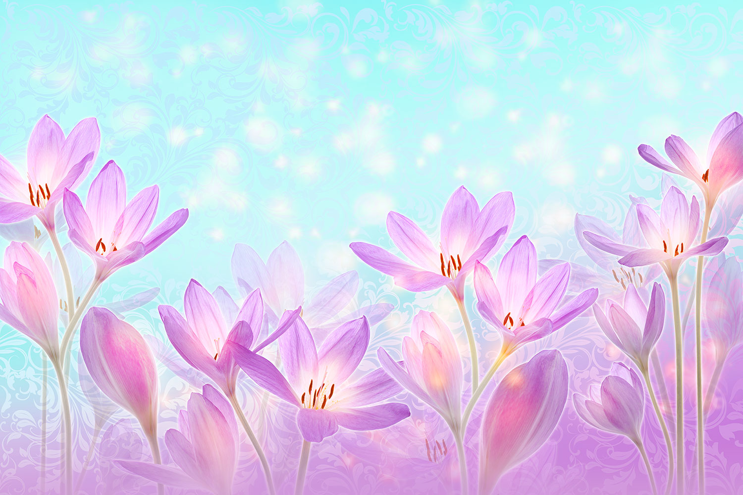 Wall Murals: Painted Violet Flowers