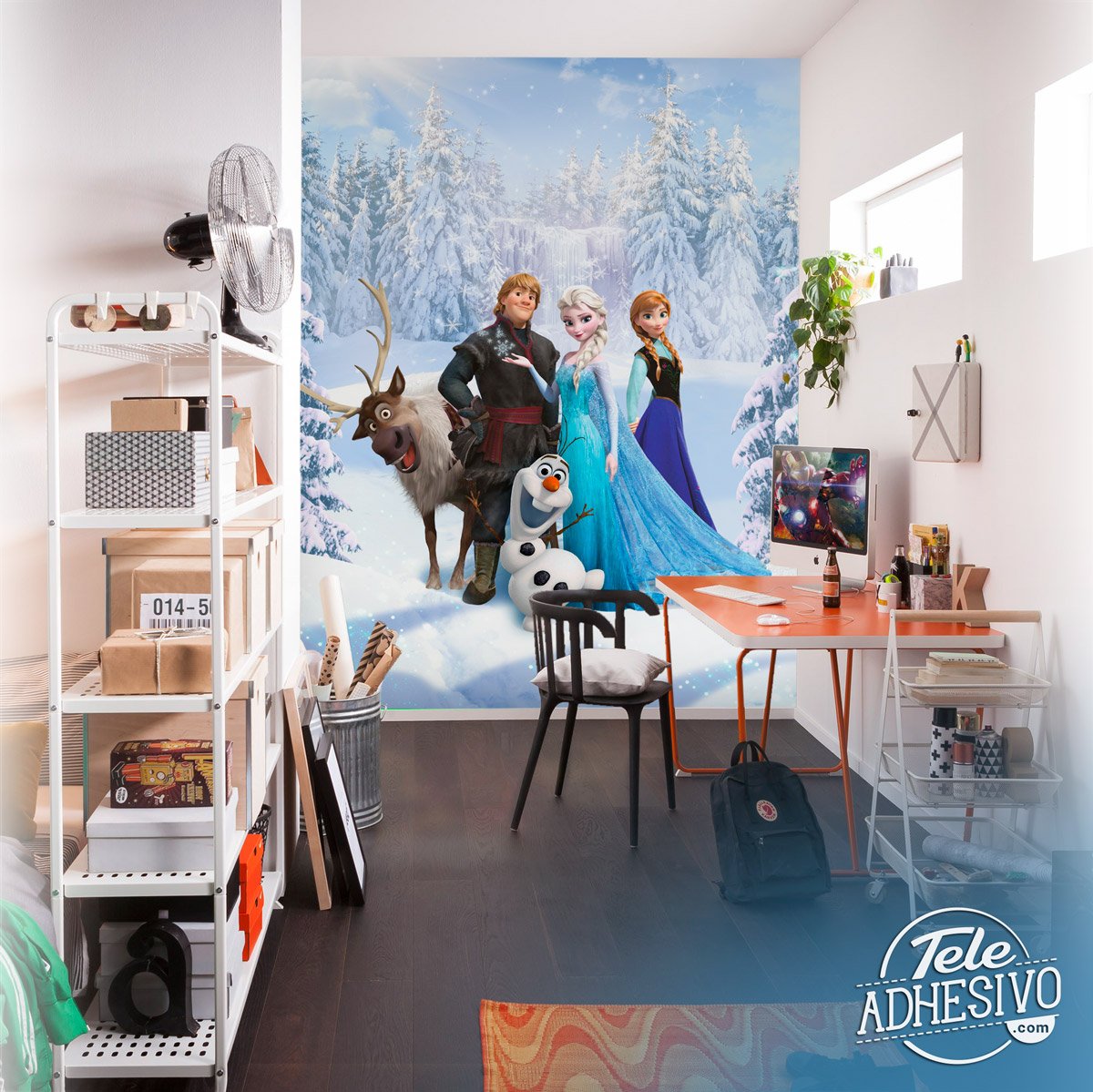 Wall Murals: Frozen Characters