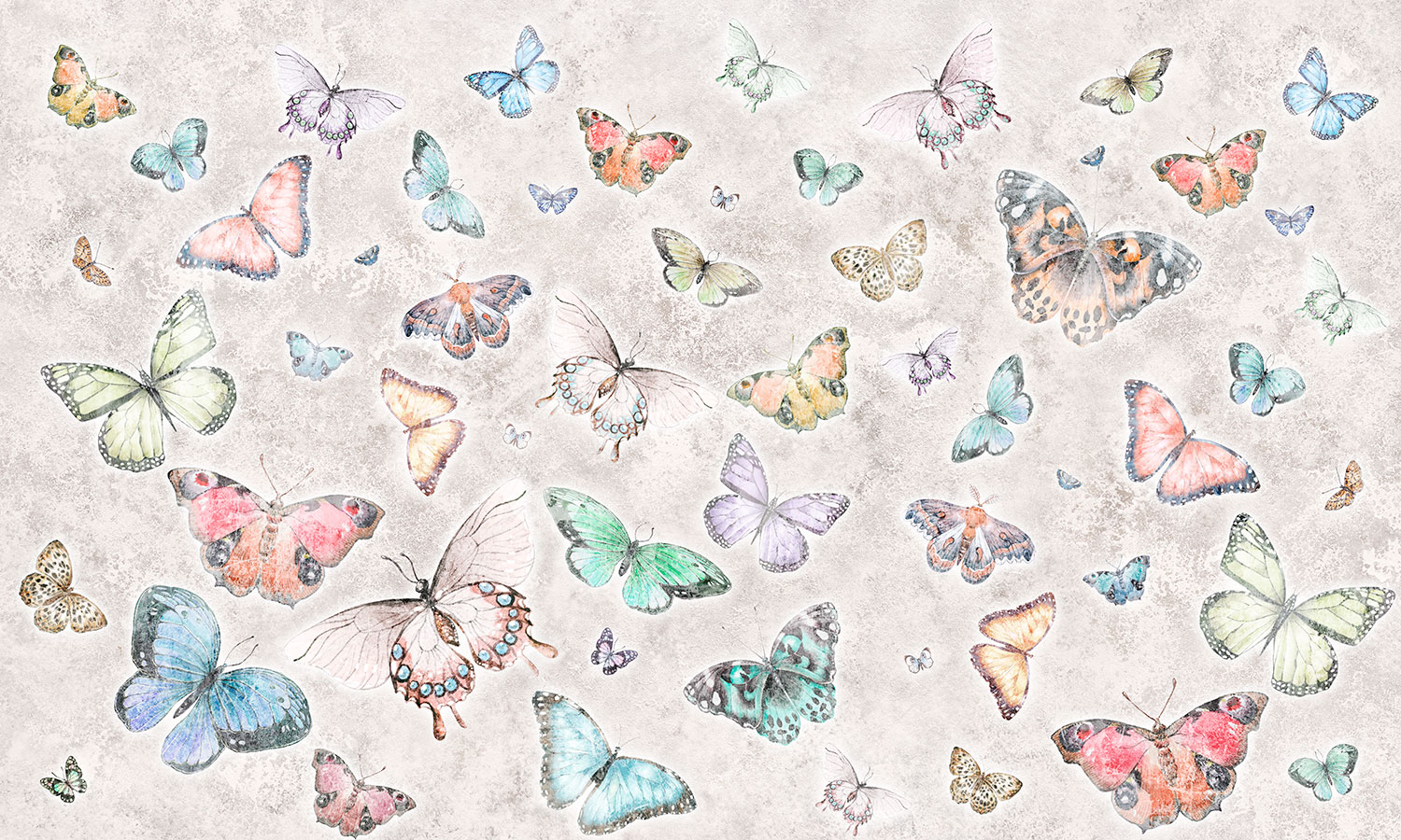 Wall Murals: Butterfly Collage