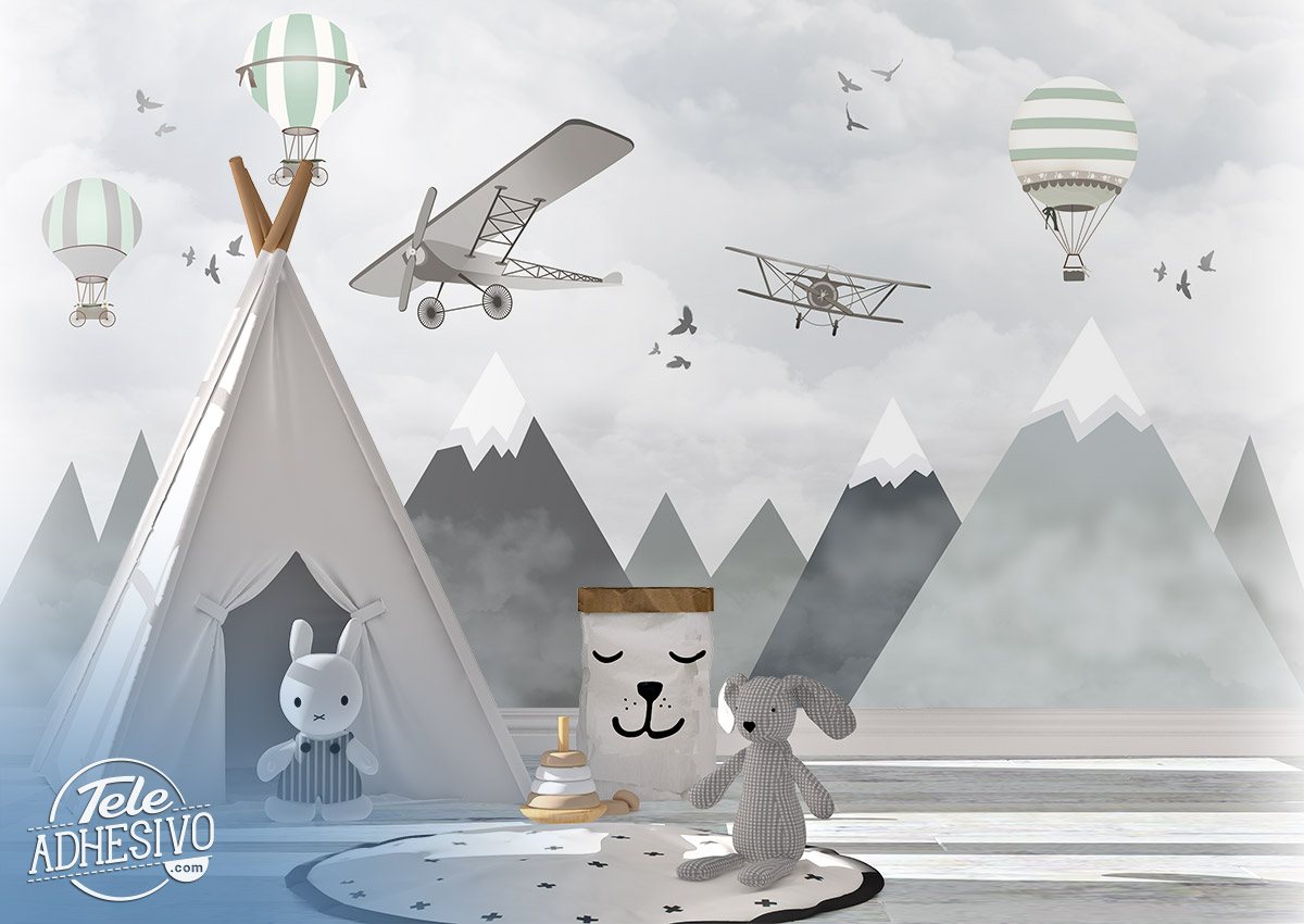 Wall Murals: Airplanes, Balloons and Mountains