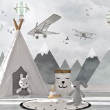 Wall Murals: Airplanes, Balloons and Mountains 2