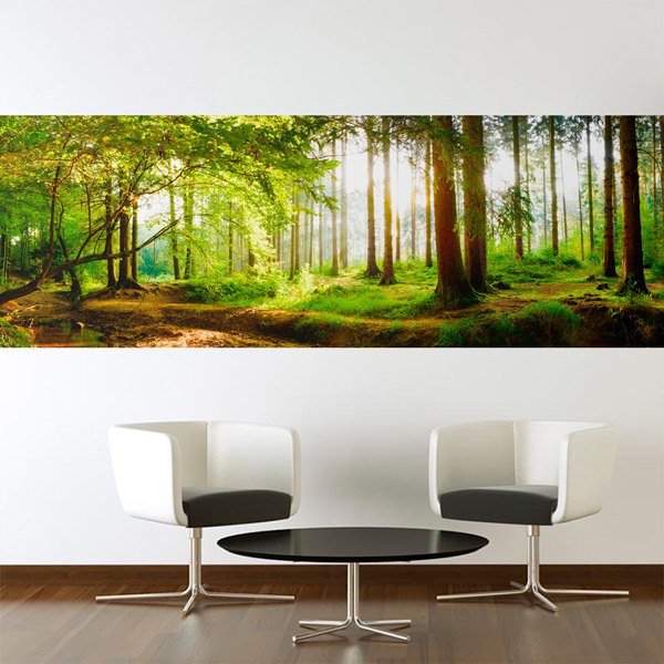Wall Murals: Sunrise in the Forest