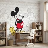 Wall Murals: Mickey Mouse Evolution 11