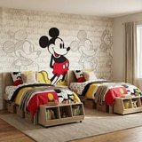 Wall Murals: Mickey Mouse Evolution 10