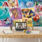 Wall Murals: Disney Princesses 13