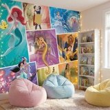 Wall Murals: Disney Princesses 3