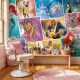 Wall Murals: Disney Princesses 6