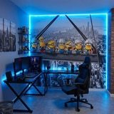 Wall Murals: Minions on the Beam 7