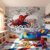 Wall Murals: Spiderman Wall Breaker 13