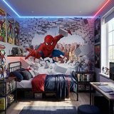 Wall Murals: Spiderman Breaking Through 7