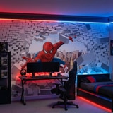Wall Murals: Spiderman Breaking Through 9
