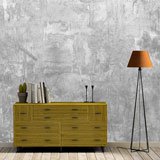 Wall Murals: Cement Texture 2