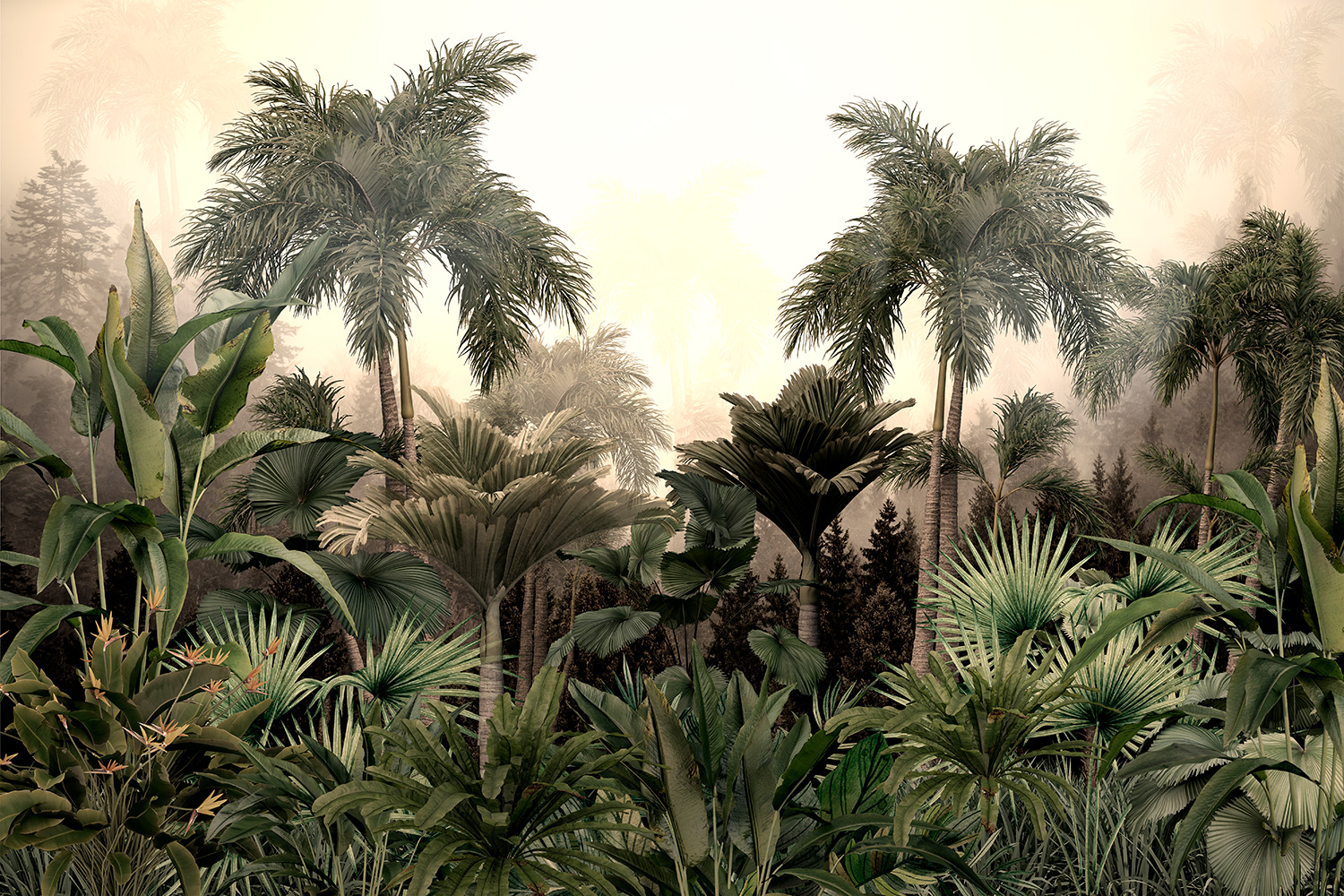 Wall Murals: Khao Yai National Park Rainforest