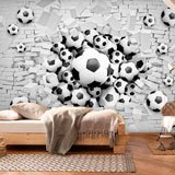 Wall Murals: Football Balls 2