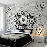 Wall Murals: Football Balls 11