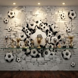 Wall Murals: Football Balls 3