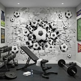 Wall Murals: Football Balls 6