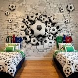 Wall Murals: Football Balls 8