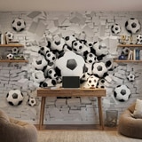 Wall Murals: Football Balls 9