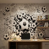 Wall Murals: Football Balls 10