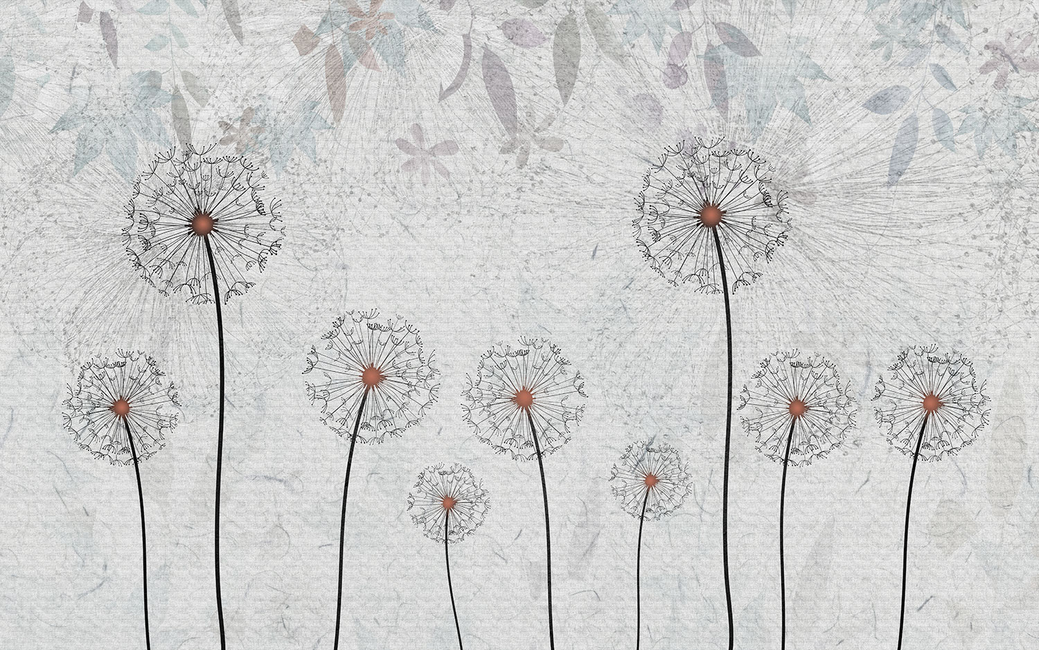 Wall Murals: Dandelions with Grey Background