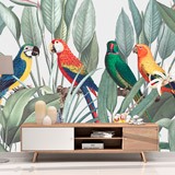 Wall Murals: Tropical Parrots 2