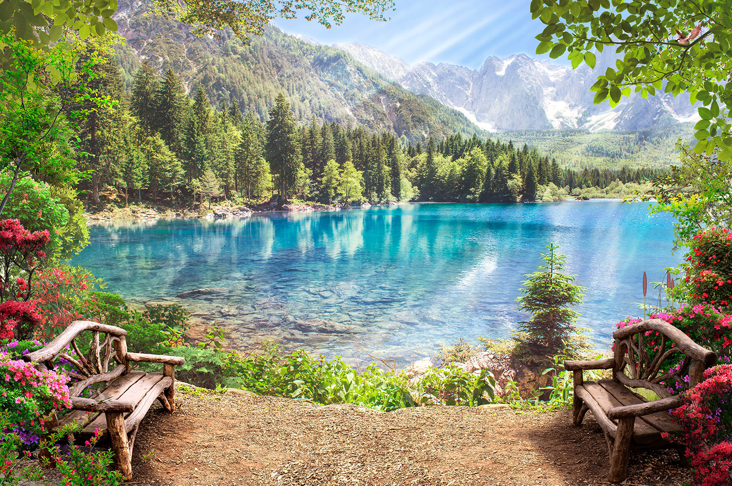 Wall Murals: Benches by the Lake